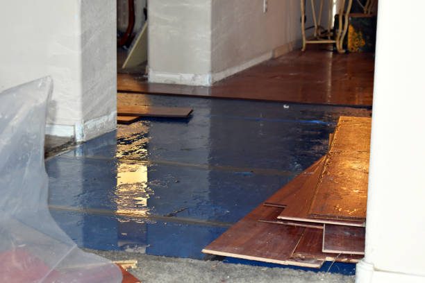 Professional Flood Damage Repair technician working in Farmington Falls, ME
